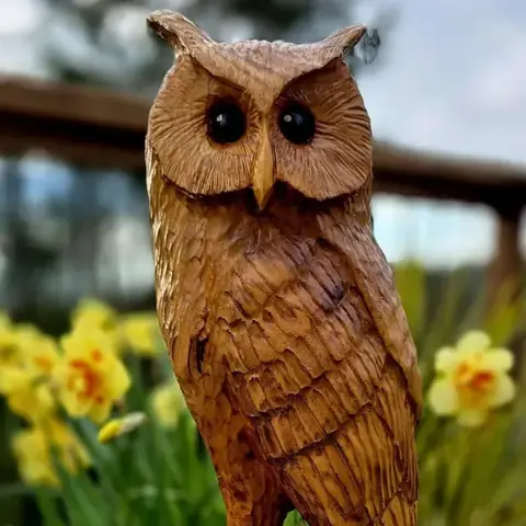Alfie the Long Eared Owl, hand carved owl carving
