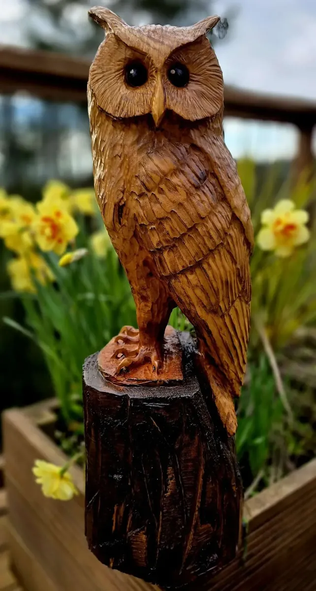 Alfie the Long Eared Owl hand carved owl