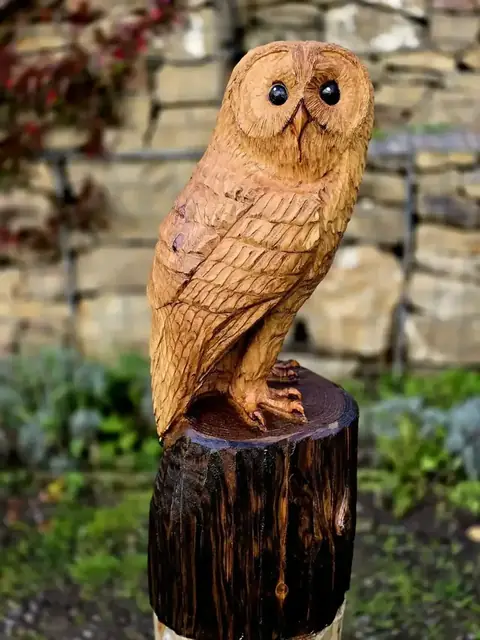 Apollo the Tawny Owl, hand carved owl carving