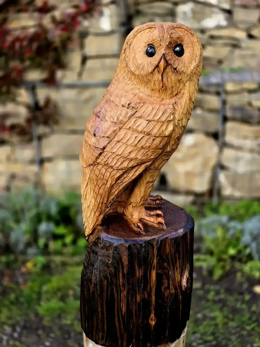 Apollo the Tawny Owl hand carved owl