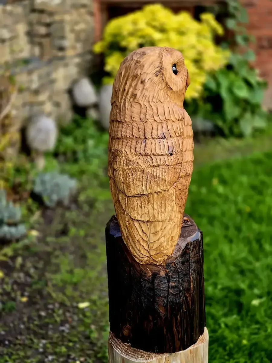 Apollo the Tawny Owl hand carved owl