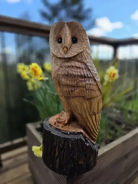 Arlo the Barn Owl, hand carved owl carving