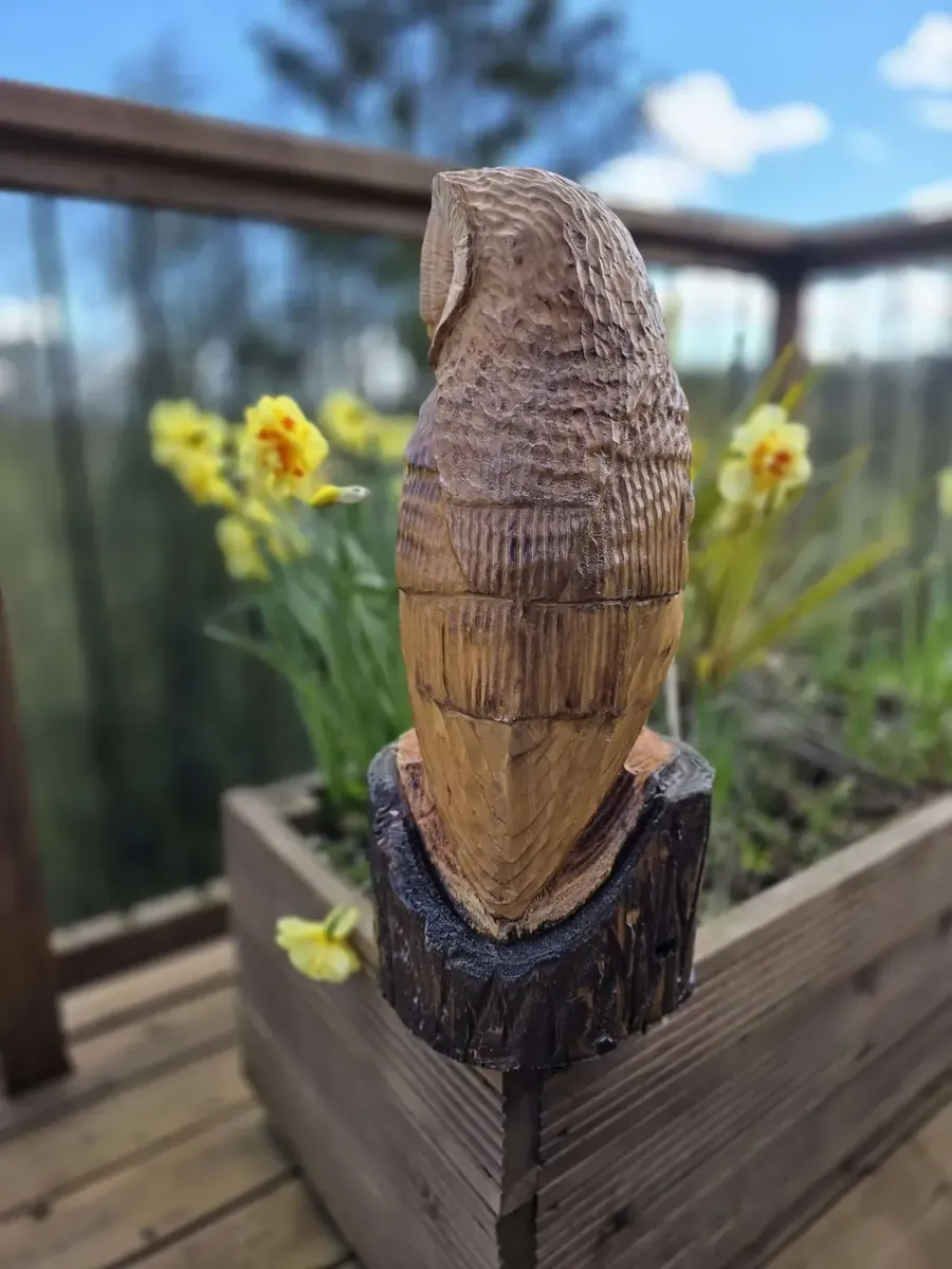 Arlo the Barn Owl hand carved owl