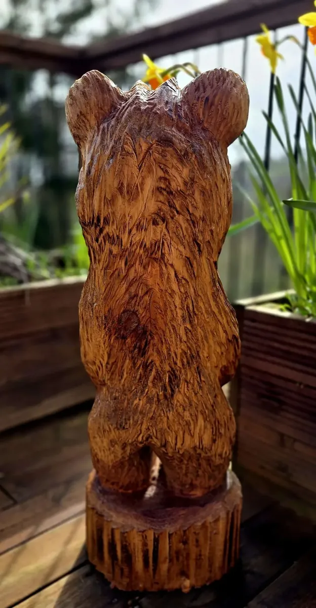 Banjo the  Heart Bear view 3