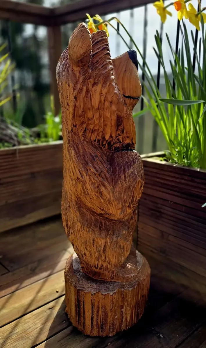 Banjo the  Heart Bear view 4