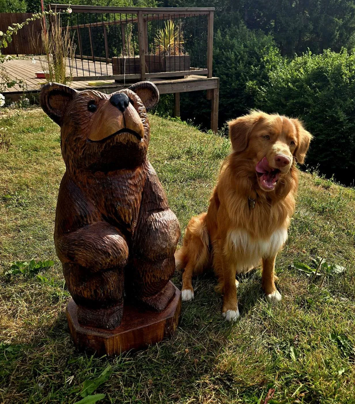 Barnaby Bear view 5