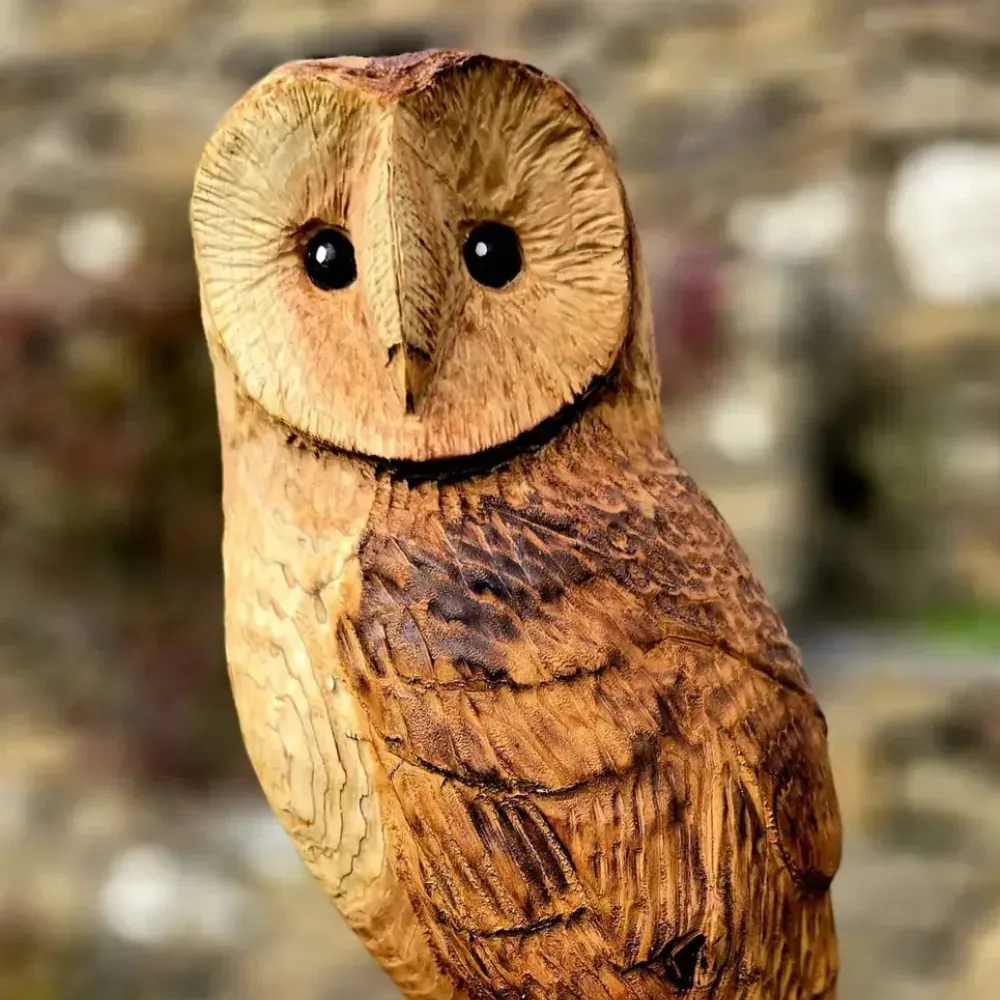 Baxter the Barn Owl hand carved owl