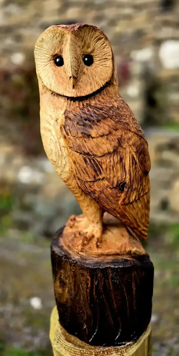 Baxter the Barn Owl hand carved owl