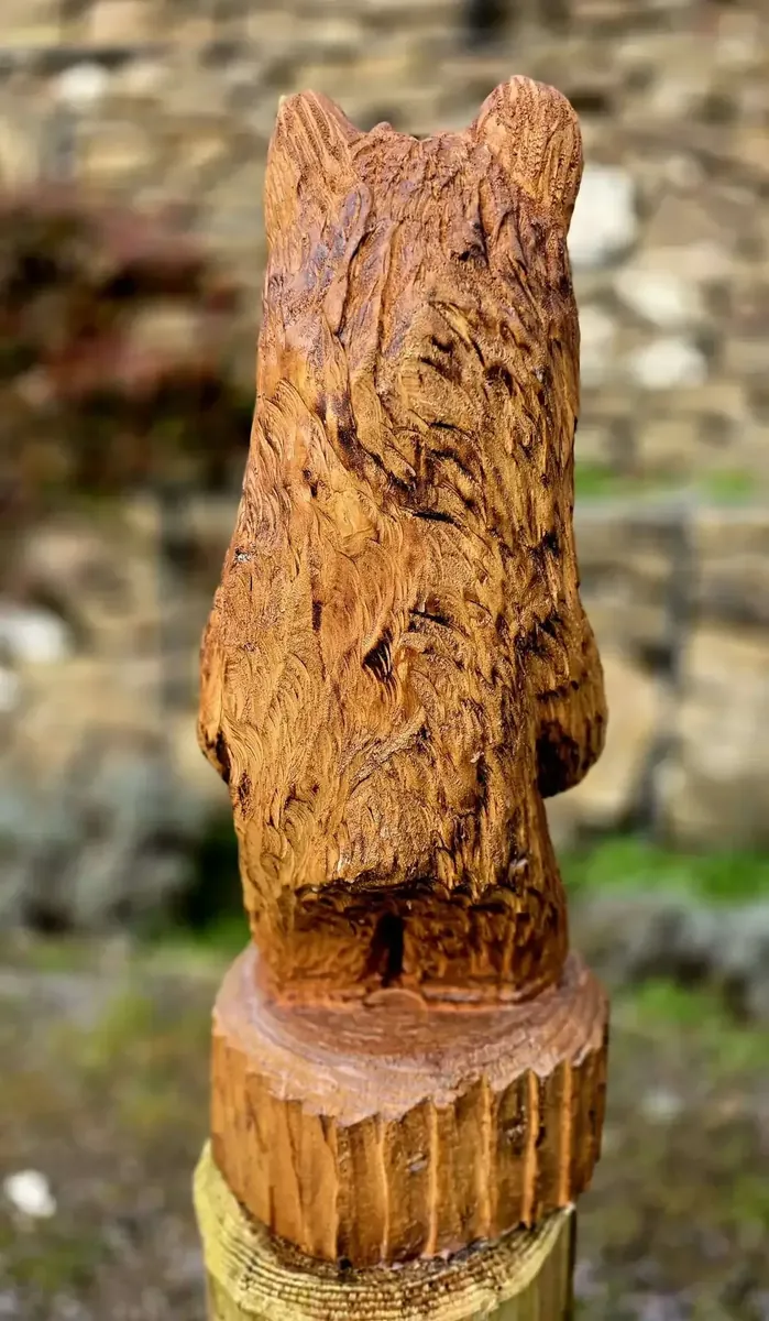 Benny the Bear view 3