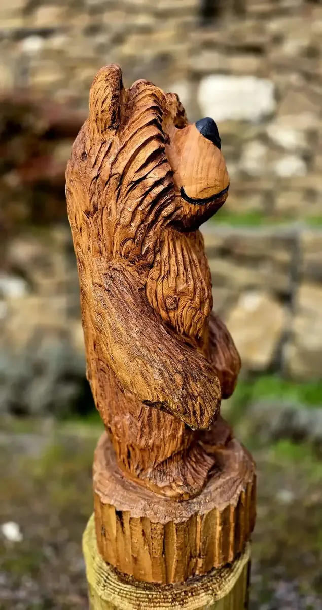 Benny the Bear view 4