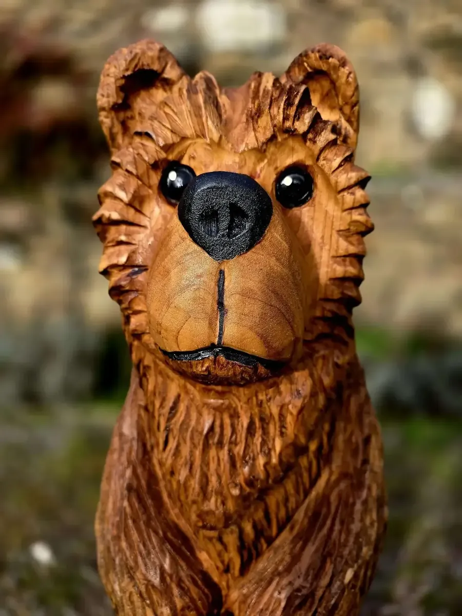 Benny the Bear view 5