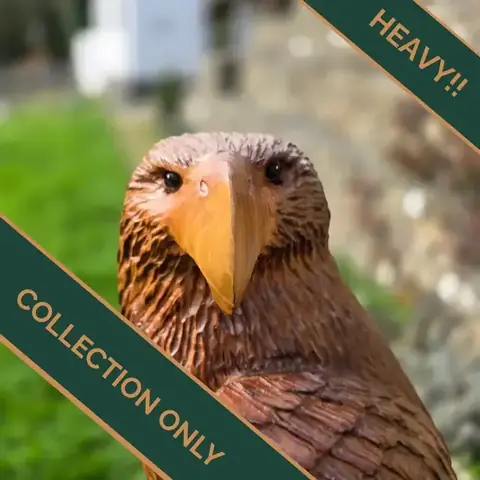Blaze the Eagle, hand carved eagle carving