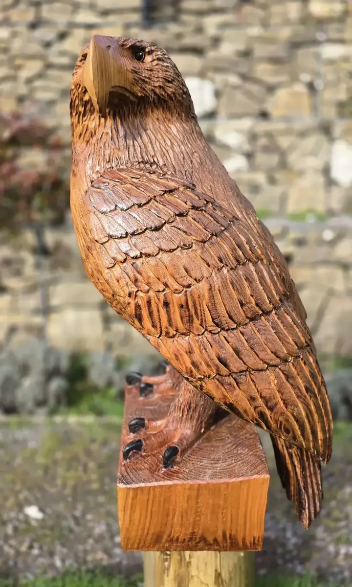 Blaze the Eagle hand carved eagle