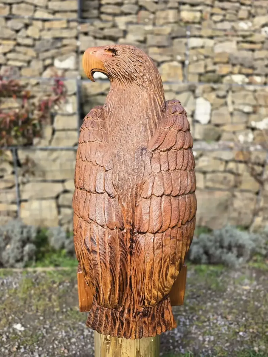 Blaze the Eagle view 3