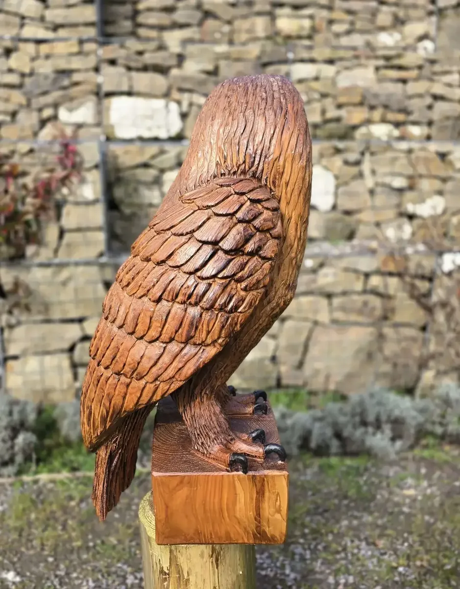 Blaze the Eagle view 4