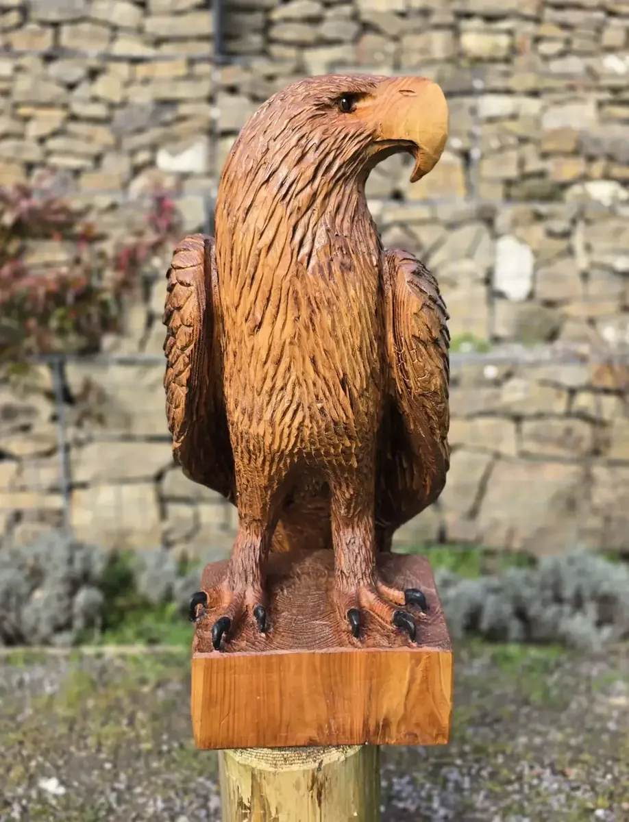 Blaze the Eagle view 5