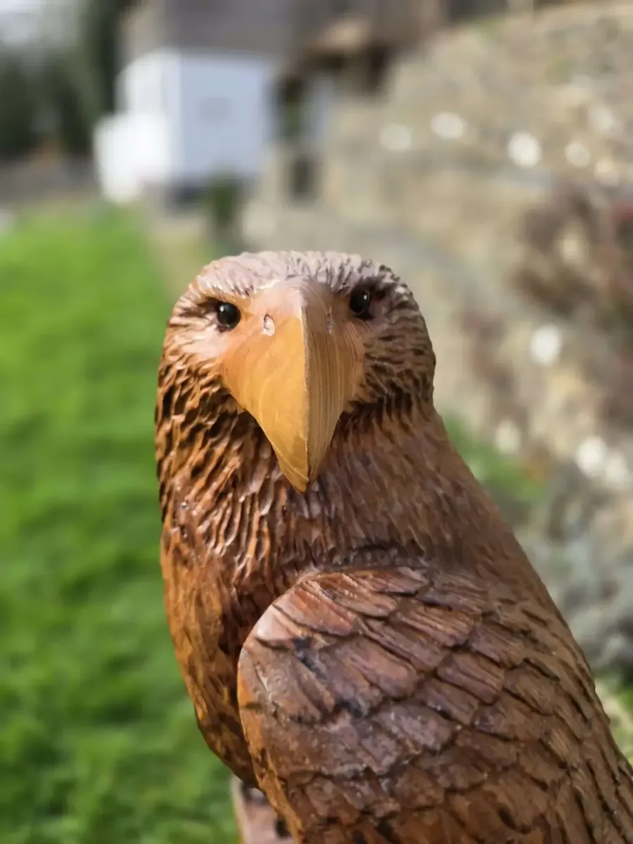 Blaze the Eagle view 6