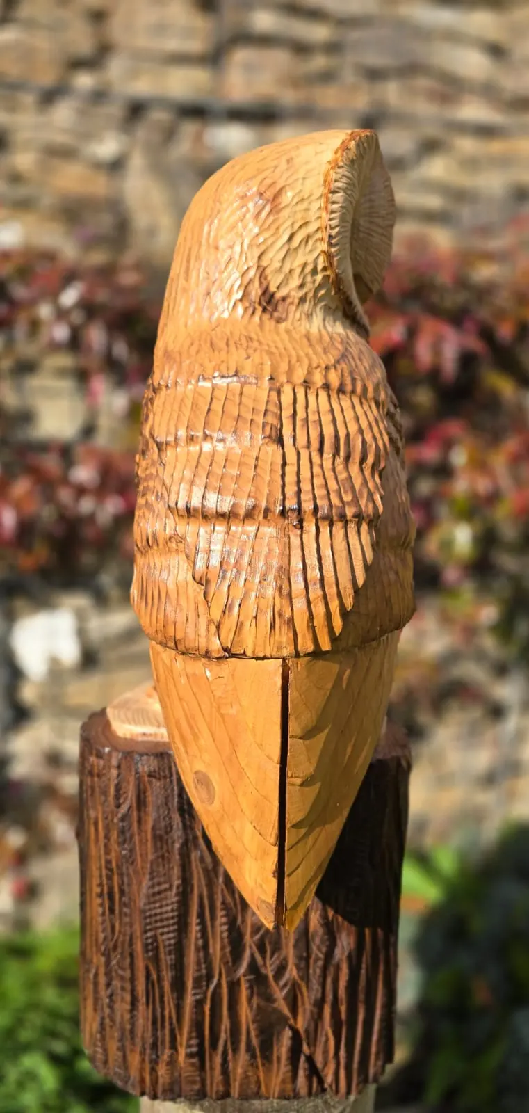 Bramble the Barn Owl, hand carved owl, view 4