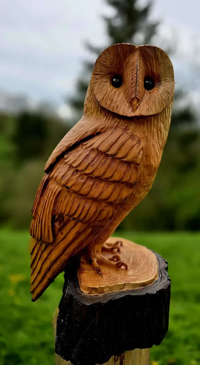 Charlie the Barn Owl hand carved owl