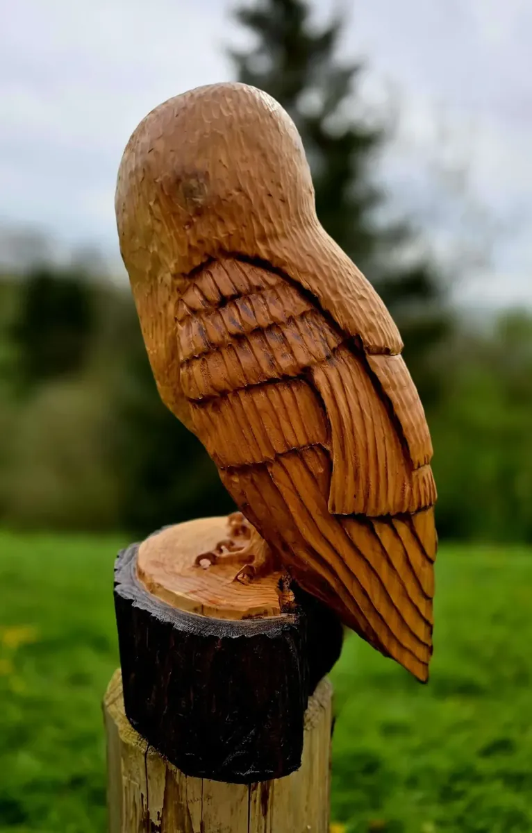 Charlie the Barn Owl view 3