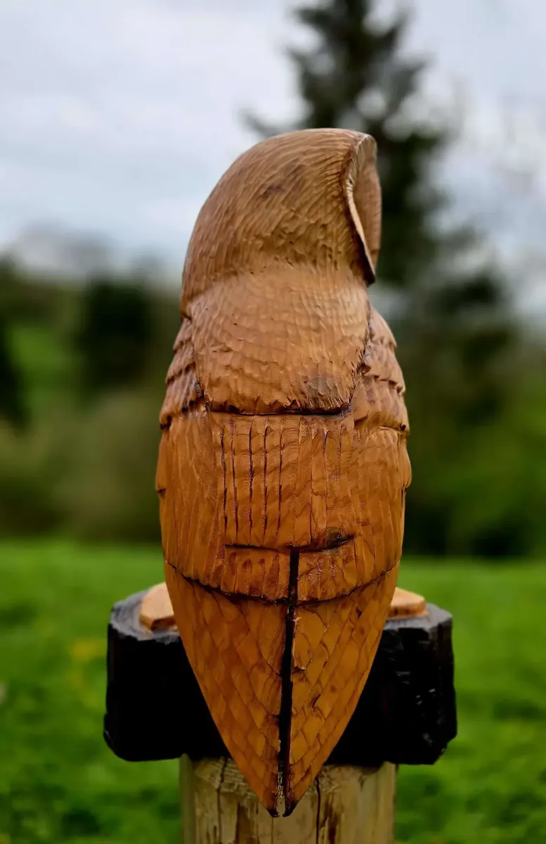 Charlie the Barn Owl view 4