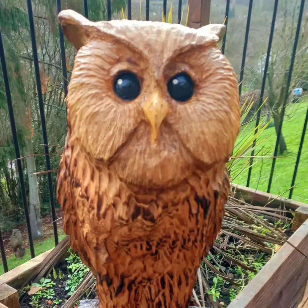 Chester the Long Eared Owl hand carved owl