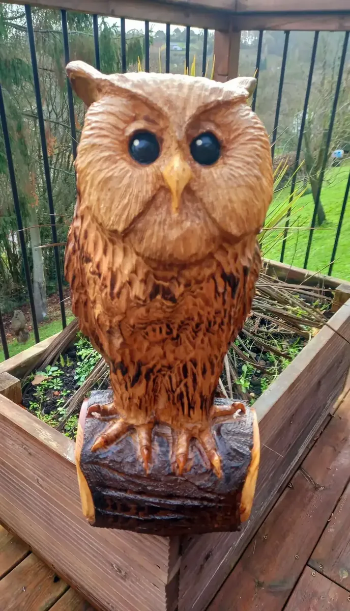 Chester the Long Eared Owl hand carved owl