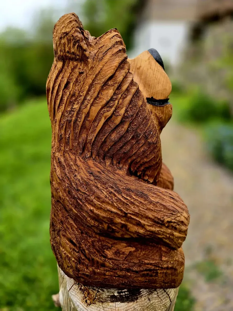 Chip the Bear view 4