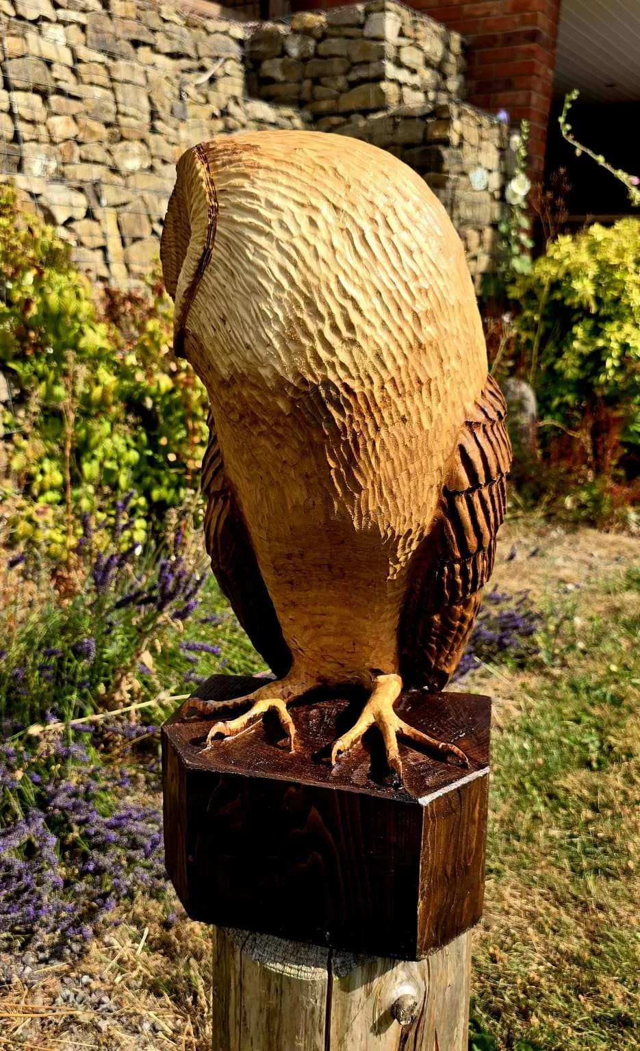 Choco the Barn Owl hand carved owl
