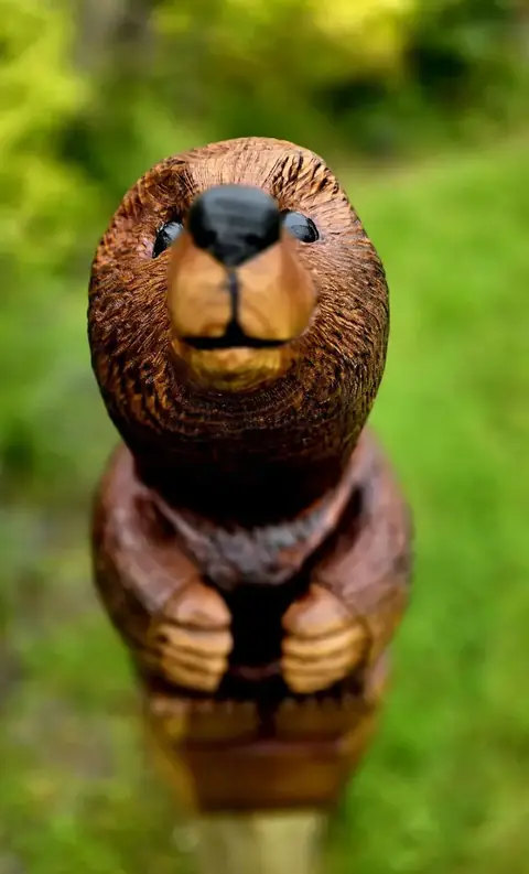 Digby the Mole, hand carved mole carving