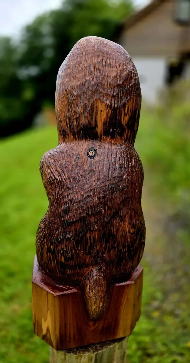 Digby the Mole view 3