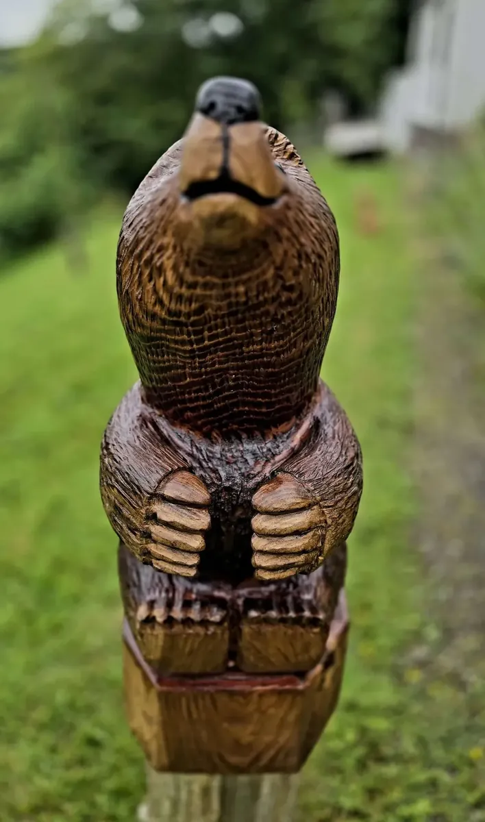 Digby the Mole view 5