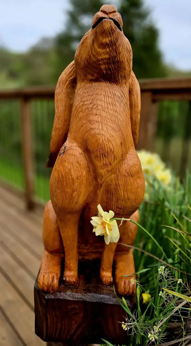 Dolly the Moon Gazing Hare hand carved hare