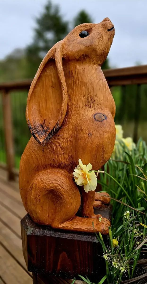 Dolly the Moon Gazing Hare view 3