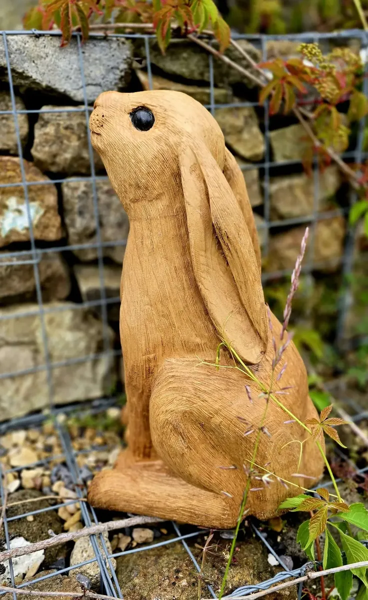 Ruby the Moon Gazing Hare view 3