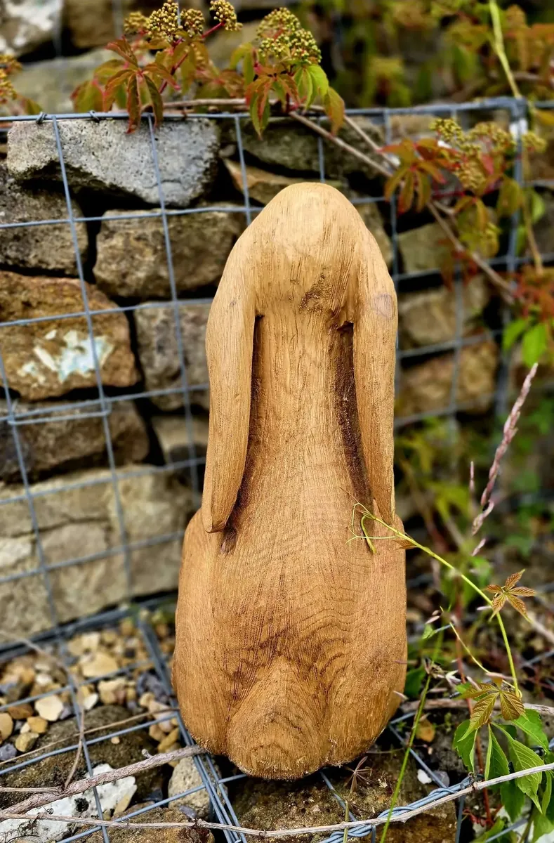 Ruby the Moon Gazing Hare view 4