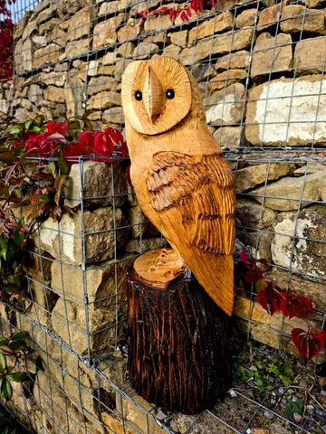 Dougie the Barn Owl, hand carved owl carving