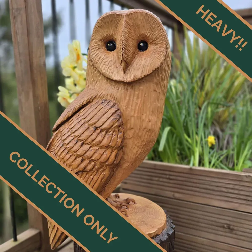 Drake the Barn Owl hand carved owl