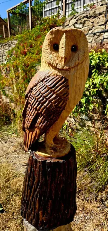 Echo the Barn Owl, hand carved owl carving