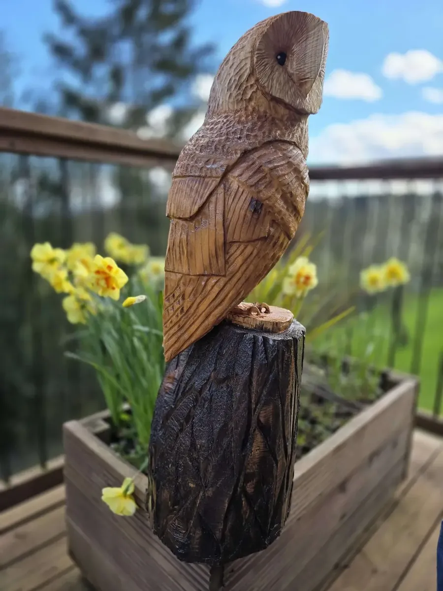 Elmo the Barn Owl view 4