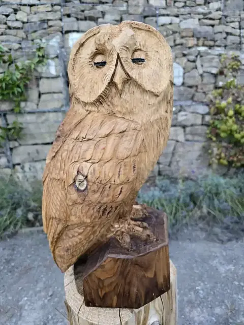 Evie the Sleepy Tawny Owl, hand carved owl carving