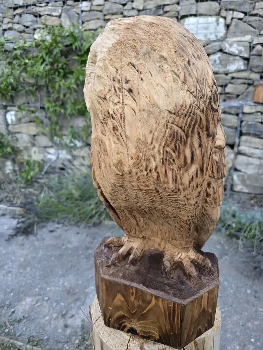 Evie the Sleepy Tawny Owl hand carved owl