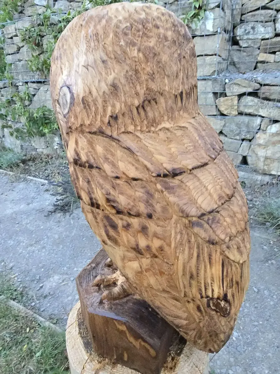 Evie the Sleepy Tawny Owl view 3
