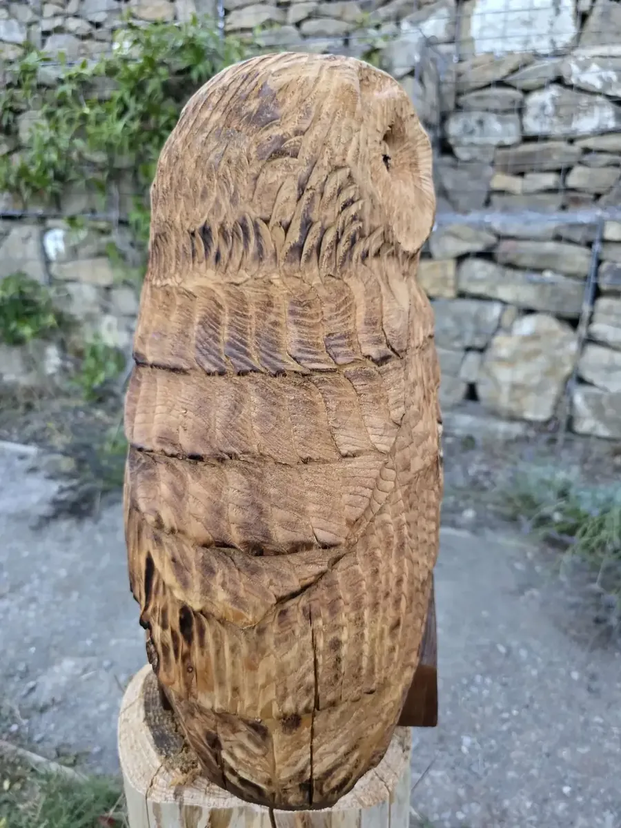 Evie the Sleepy Tawny Owl view 4