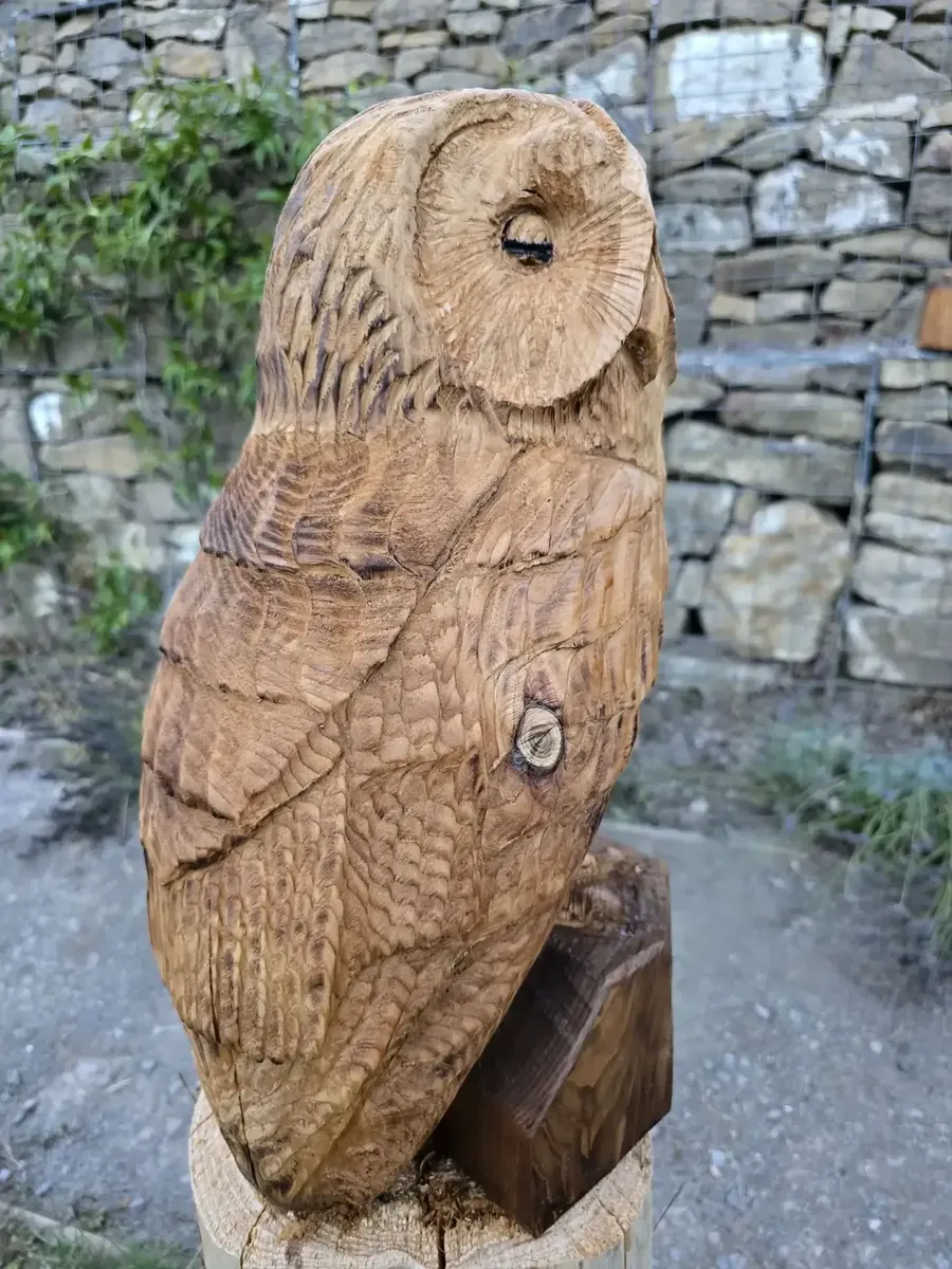 Evie the Sleepy Tawny Owl view 5