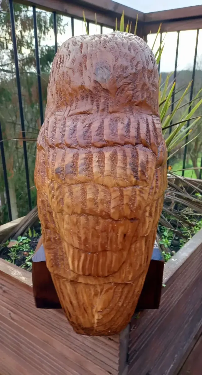 Felix the Tawny Owl view 3