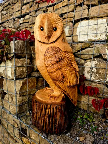 Fern the Barn Owl, hand carved owl carving