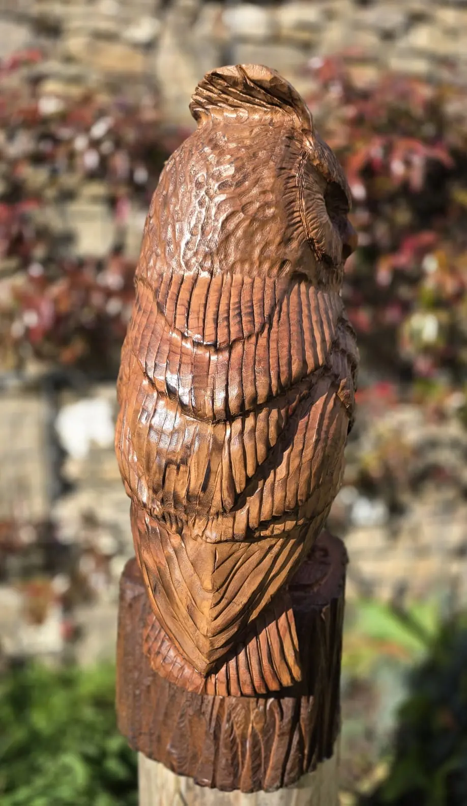 Gizmo the Long Eared Owl, hand carved owl, view 4