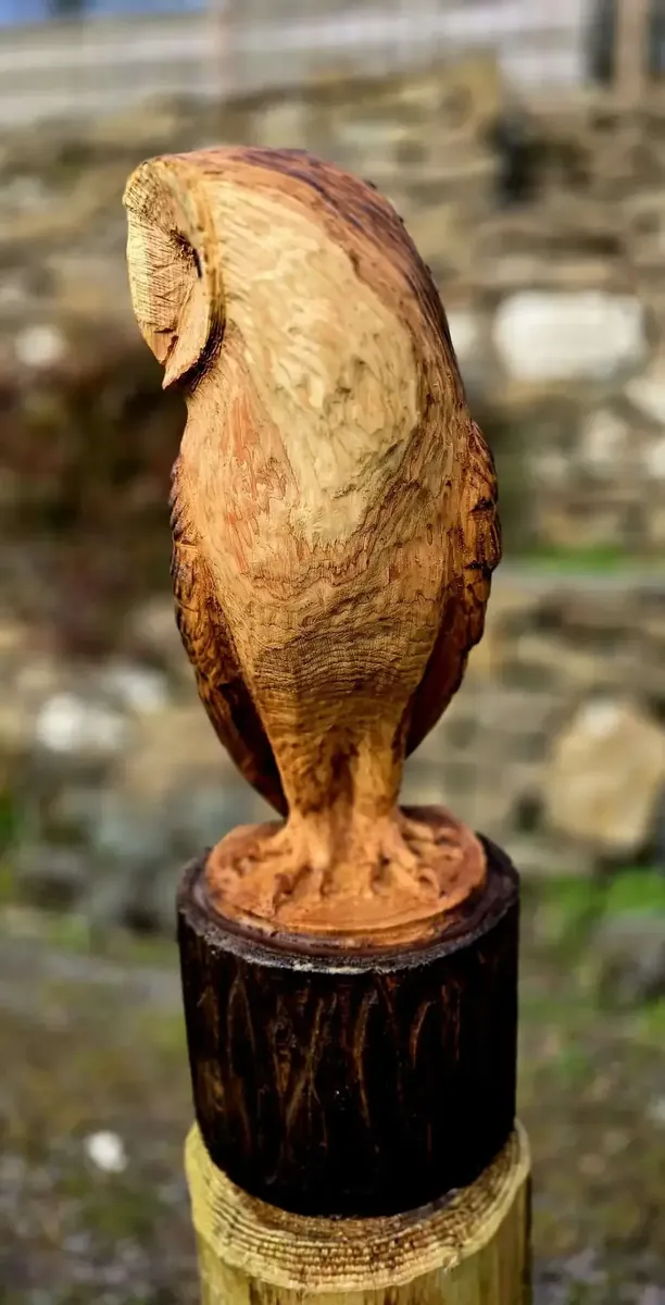 Gus the Barn Owl hand carved owl