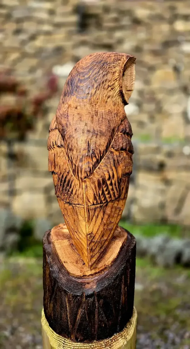 Gus the Barn Owl view 4